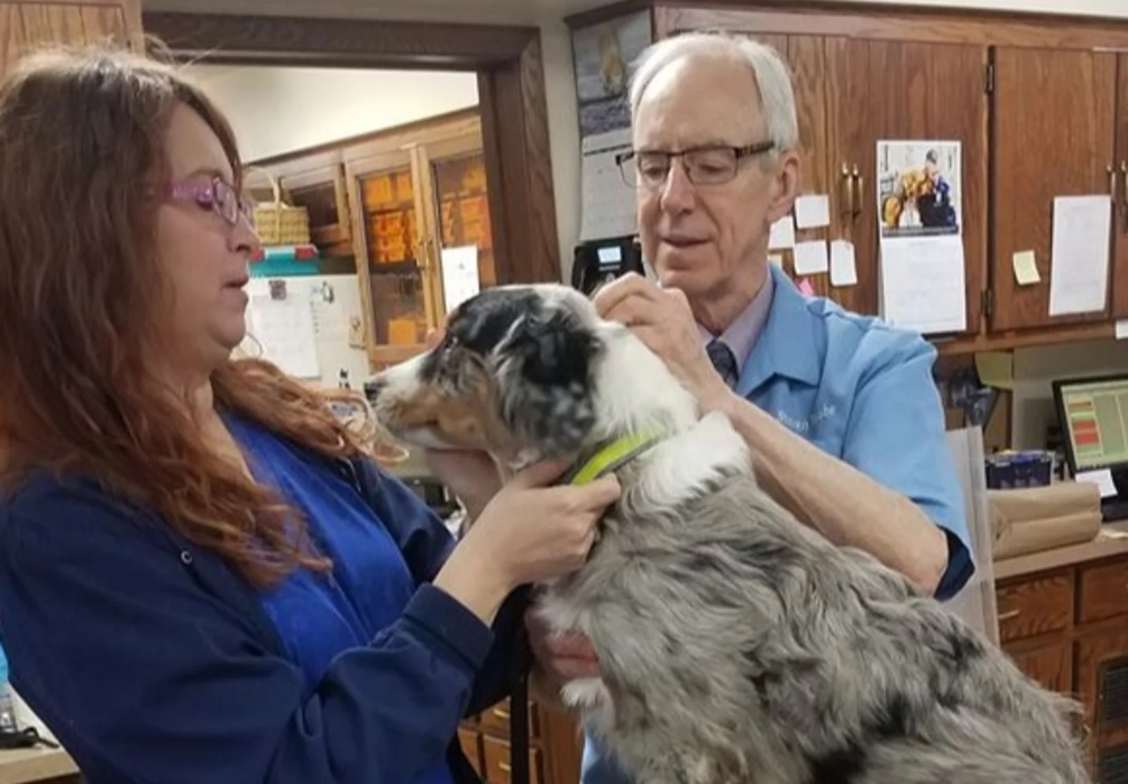 Prairie Animal Hospital's staff caring for a dog 